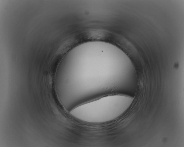 X0000093510551200710121105