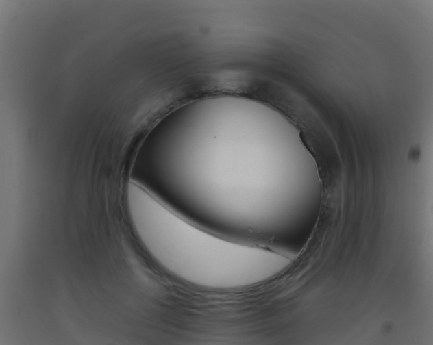 X0000093510552200710121105