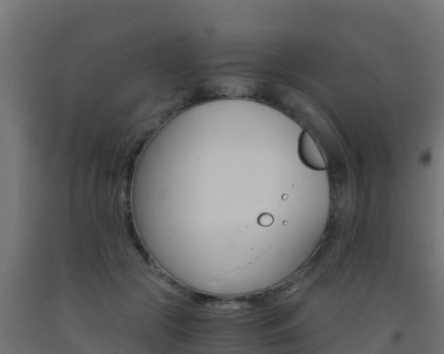 X0000093510553200710121105