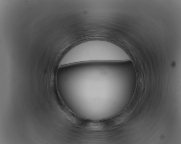 X0000093510556200710121105