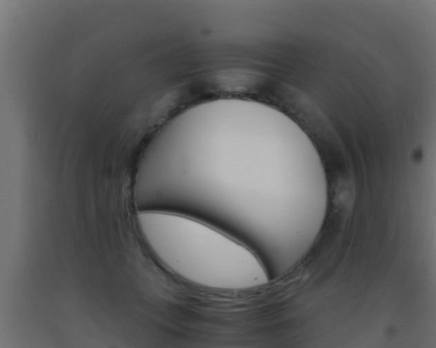 X0000093510559200710121105