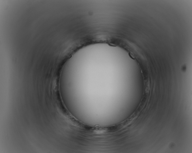 X0000093510560200710121105