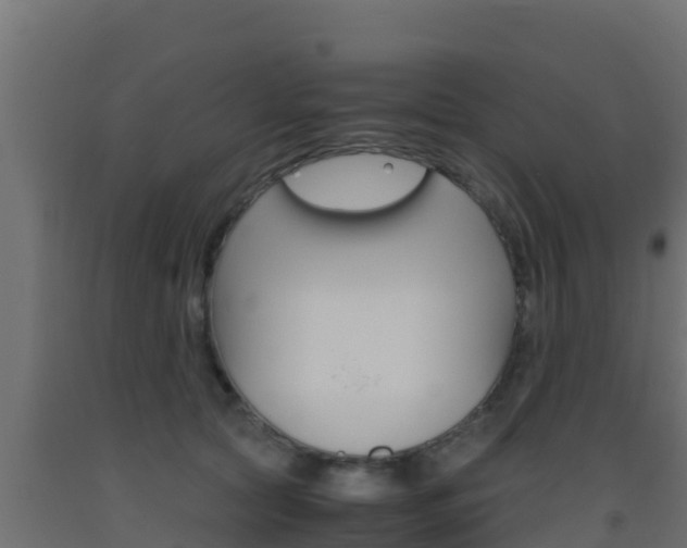 X0000093510561200710121105