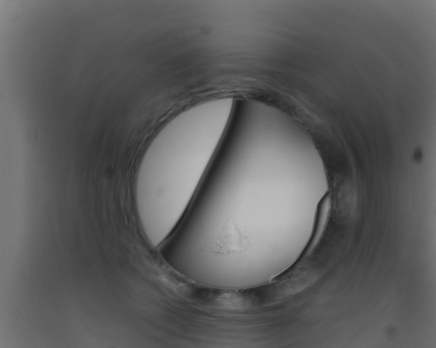 X0000093510562200710121105