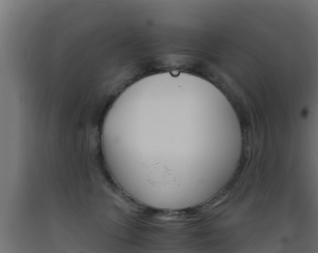 X0000093510563200710121105