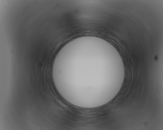 X0000093510564200710121105
