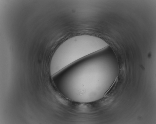 X0000093510566200710121105