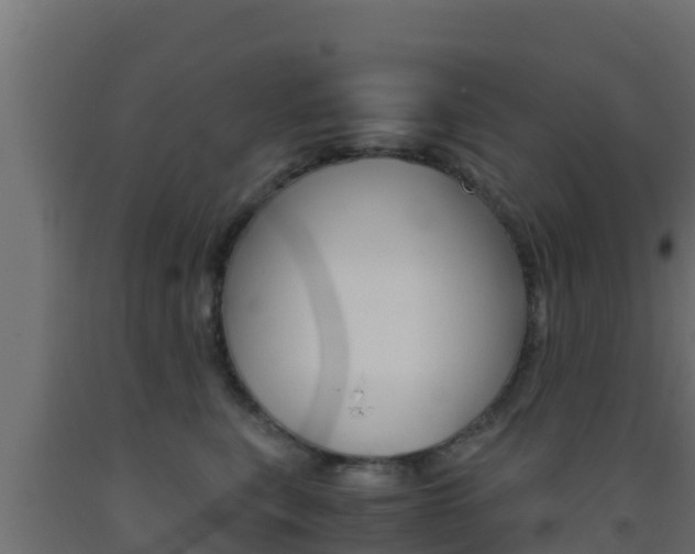 X0000093510567200710121105