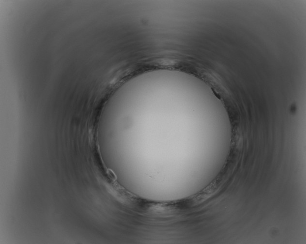 X0000093510568200710121105