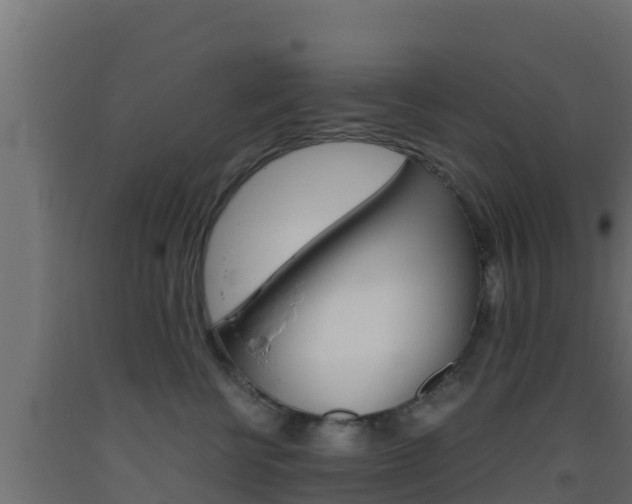X0000093510570200710121105