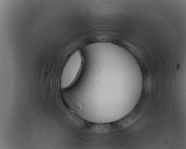 X0000093510571200710121105