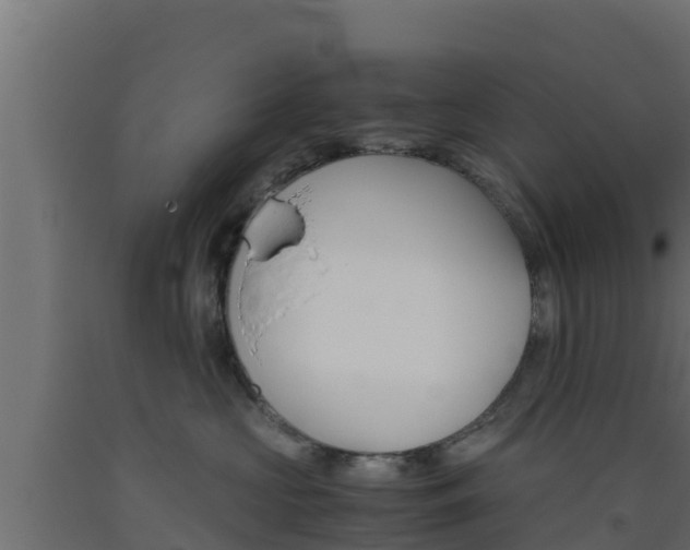 X0000093510573200710121105