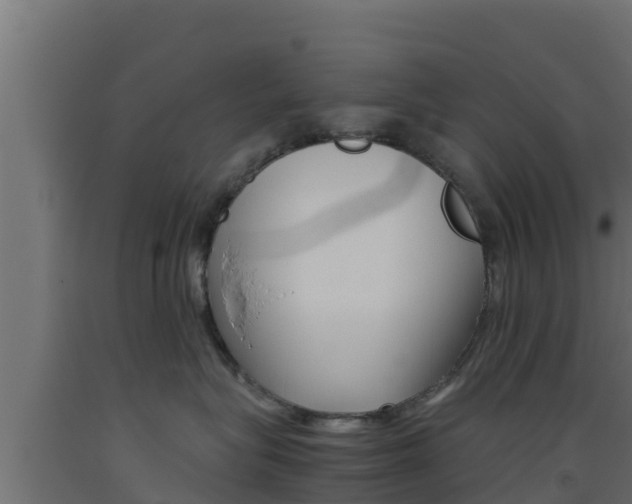 X0000093510575200710121105