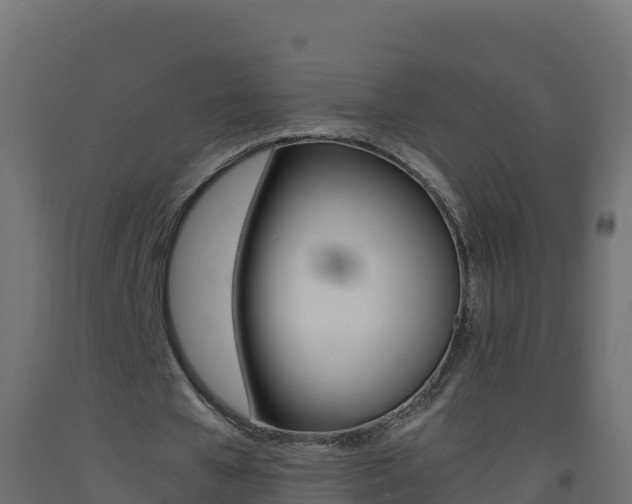 X0000093510577200710121105