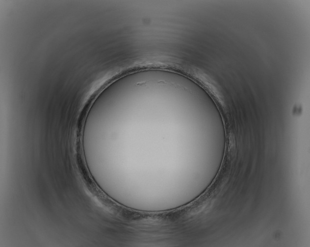 X0000093510578200710121105