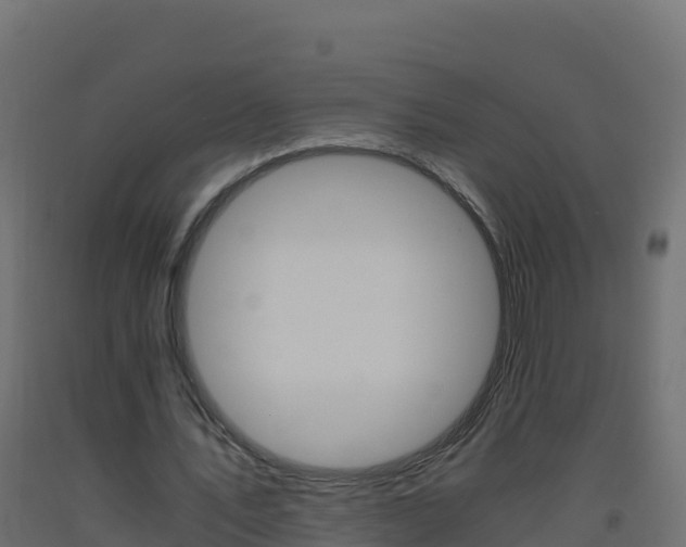 X0000093510579200710121105