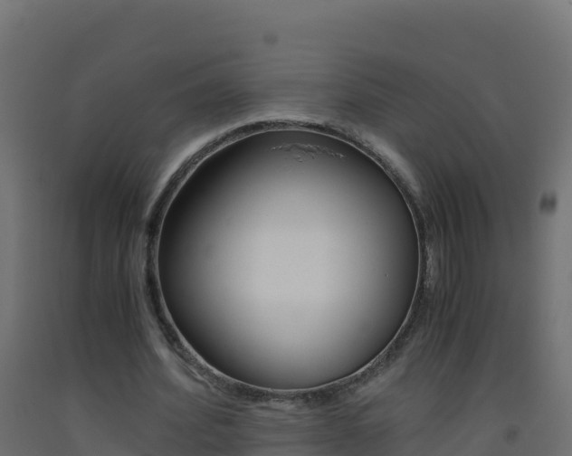 X0000093510580200710121105
