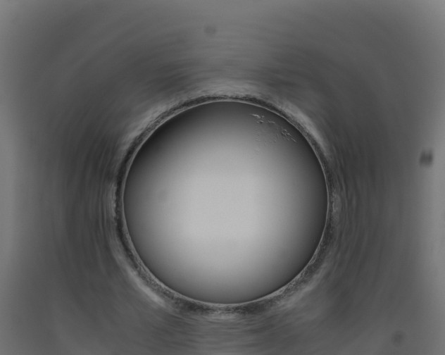 X0000093510581200710121104