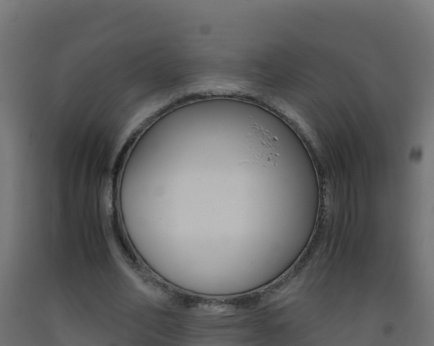 X0000093510582200710121104