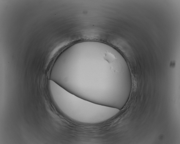 X0000093510583200710121104