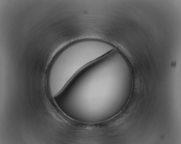 X0000093510584200710121104