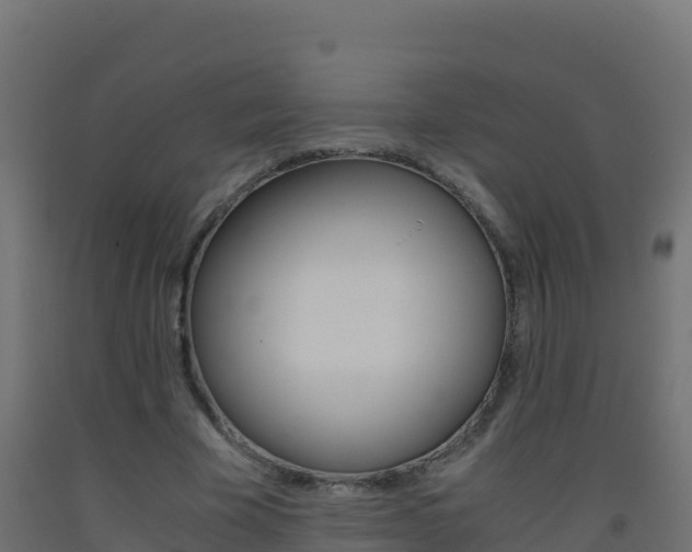 X0000093510585200710121104