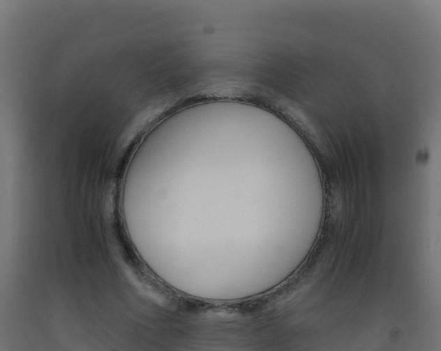 X0000093510586200710121104