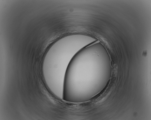 X0000093510589200710121104