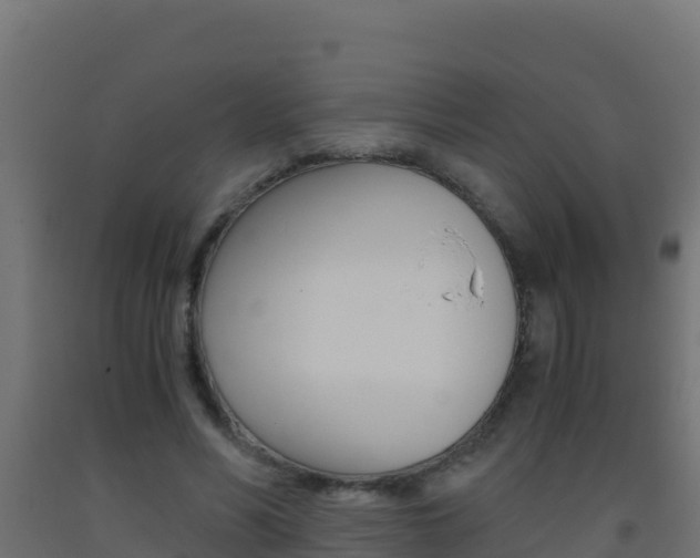 X0000093510590200710121104