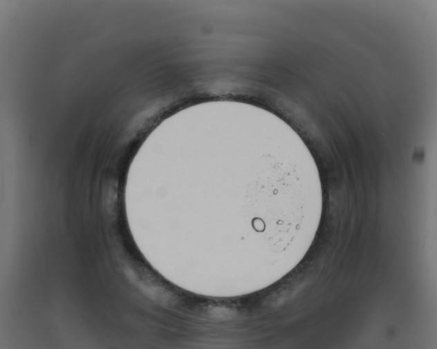 X0000093510592200710121104