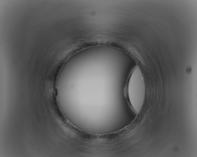 X0000093510593200710121104