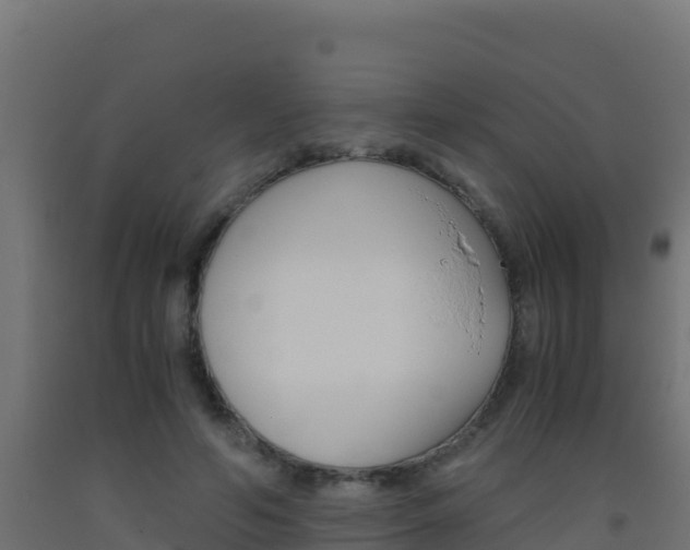 X0000093510594200710121104