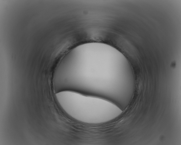 X0000093510595200710121104