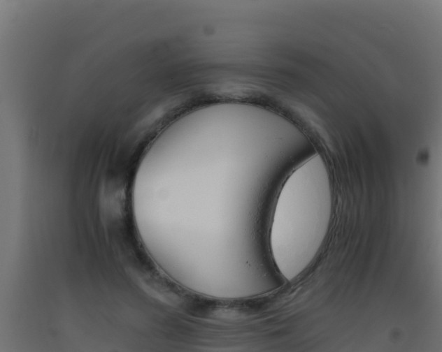 X0000093510596200710121104