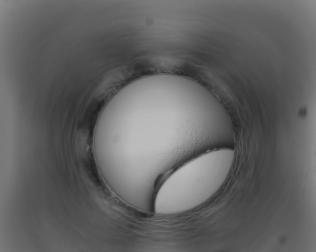 X0000093510599200710121104