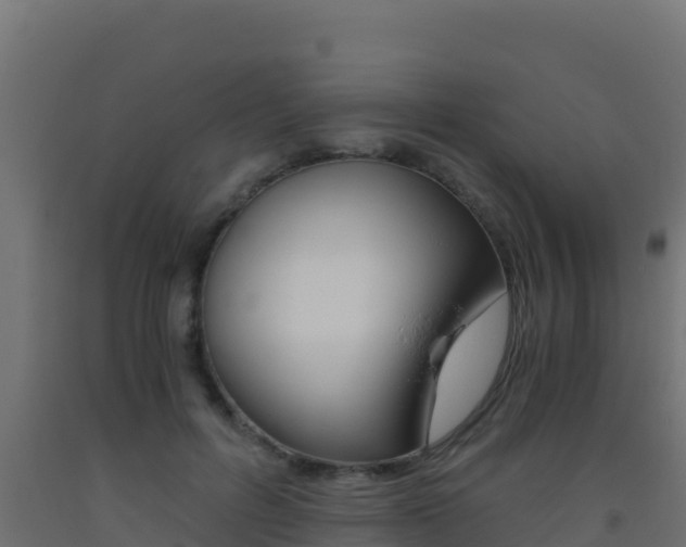 X0000093510600200710121104