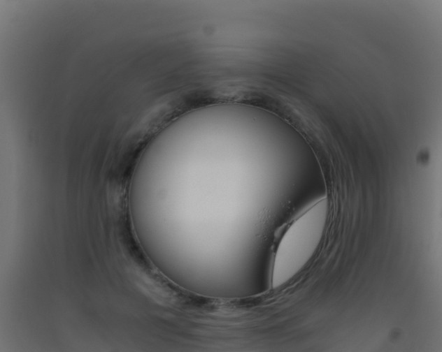 X0000093510601200710121104