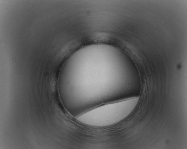 X0000093510604200710121104