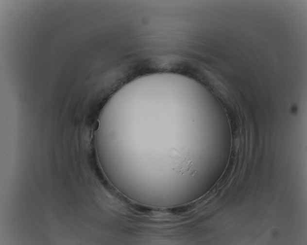 X0000093510605200710121104