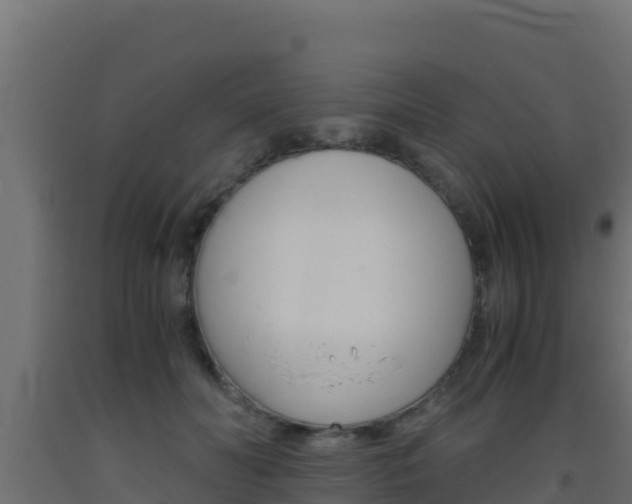 X0000093510606200710121104