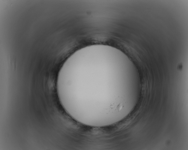X0000093510608200710121104