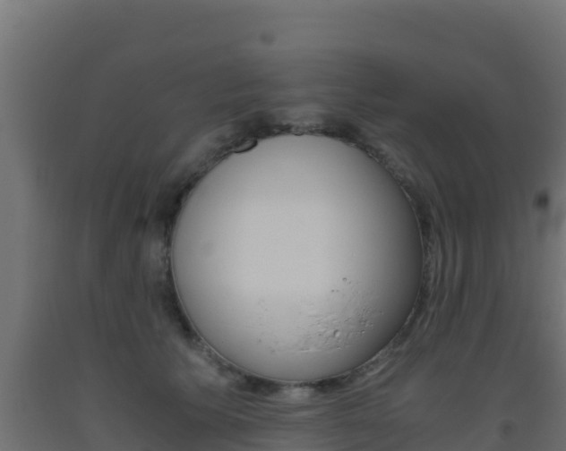 X0000093510609200710121104