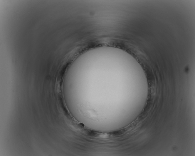 X0000093510611200710121104