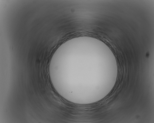 X0000093510613200710121104