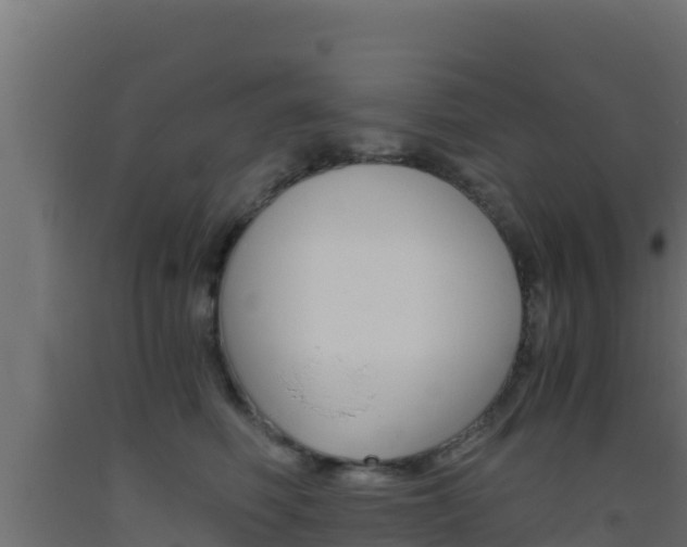 X0000093510614200710121104