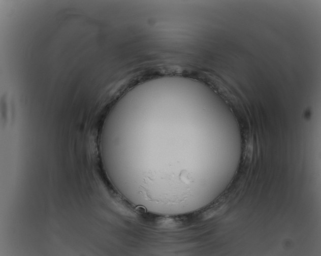 X0000093510616200710121104