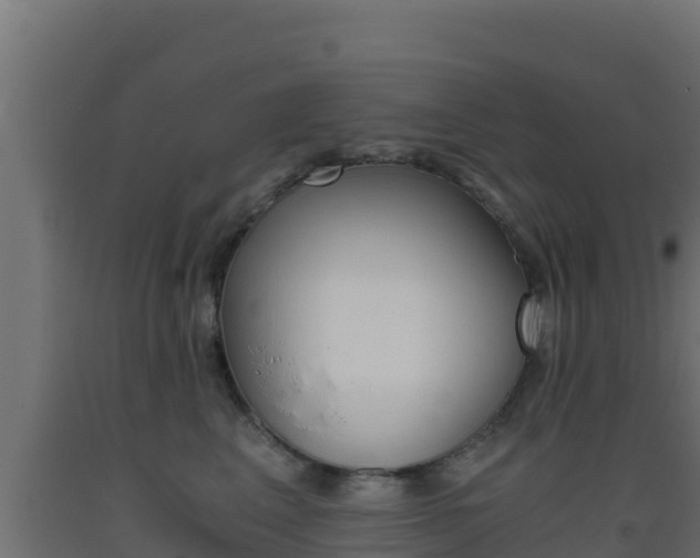 X0000093510617200710121104