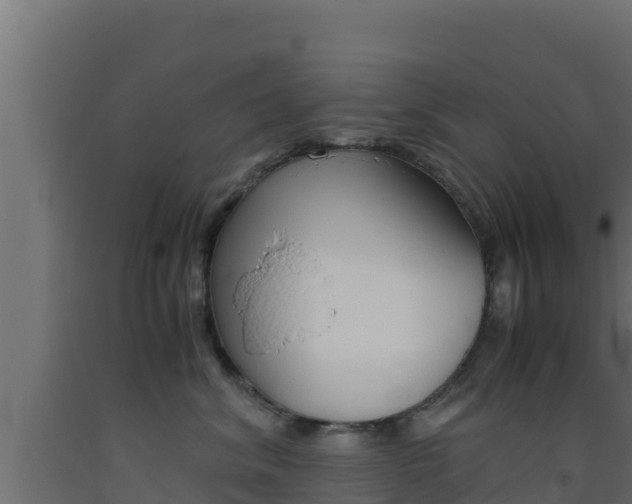 X0000093510620200710121104