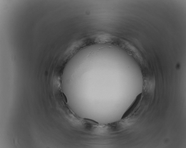 X0000093510621200710121104