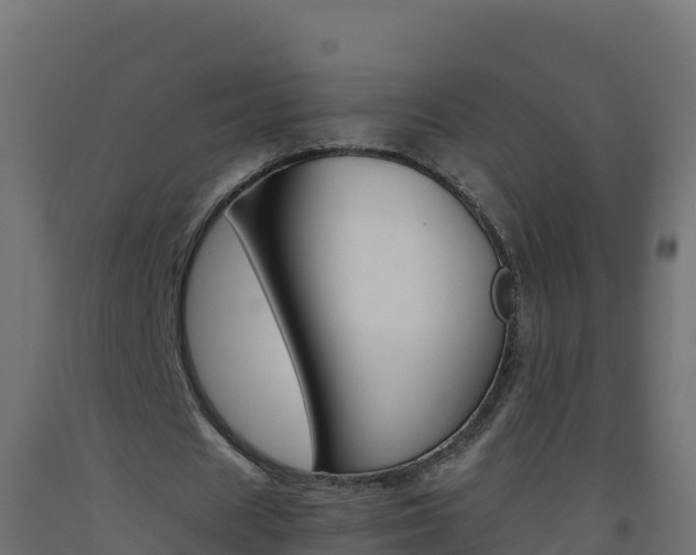X0000093510625200710121103